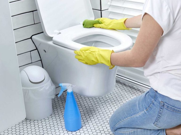 bồn cầu toto bị hôi